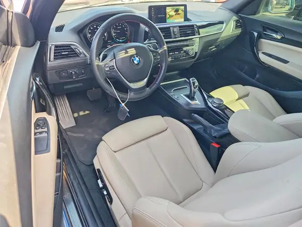 WBA2J1C55JVD09406 2018 BMW 2ER - Image 8