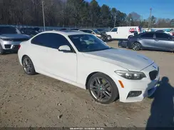 WBA2J1C59JVD09604 2018 BMW 2ER