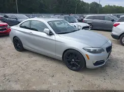 WBA2J1C5XJVD09840 2018 BMW 2ER