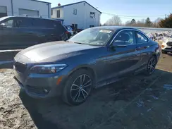 WBA2J3C00L7E75100 2020 BMW 2ER