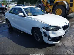 WBA2J3C01L7E62288 2020 BMW 2ER