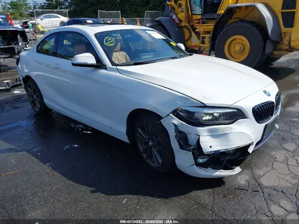 WBA2J3C01L7E62288 2020 BMW 2ER - Image 1