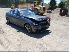 WBA2J3C04L7E57232 2020 BMW 2ER