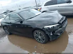 WBA2J3C04L7E60602 2020 BMW 2ER