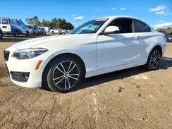 WBA2J3C09L7E19267 2020 BMW 2ER