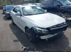 WBA2J3C52JVA49994 2018 BMW 2ER