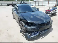 WBA2J3C52JVA52264 2018 BMW 2ER