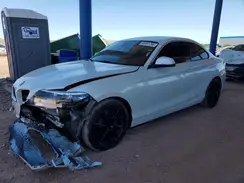 WBA2J3C54KVD49117 2019 BMW 2ER