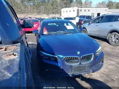 WBA2J3C59KVD49100 2019 BMW 2ER
