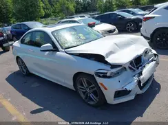 WBA2J3C5XJVA49824 2018 BMW 2ER