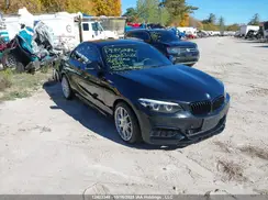 WBA2J3C5XJVD48956 2018 BMW 2ER