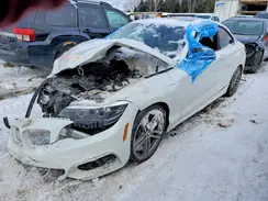 WBA2J7C03M7G76997 2021 BMW M2