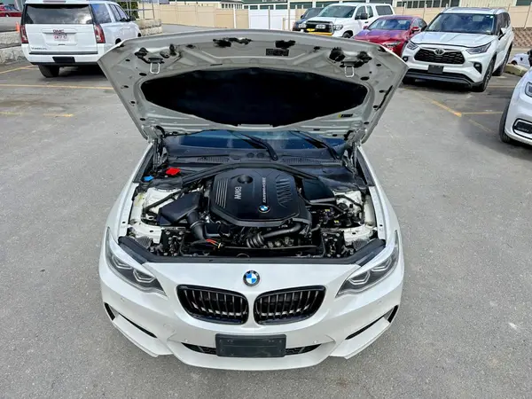 WBA2J7C51JVB28483 2018 BMW M2 - Image 8