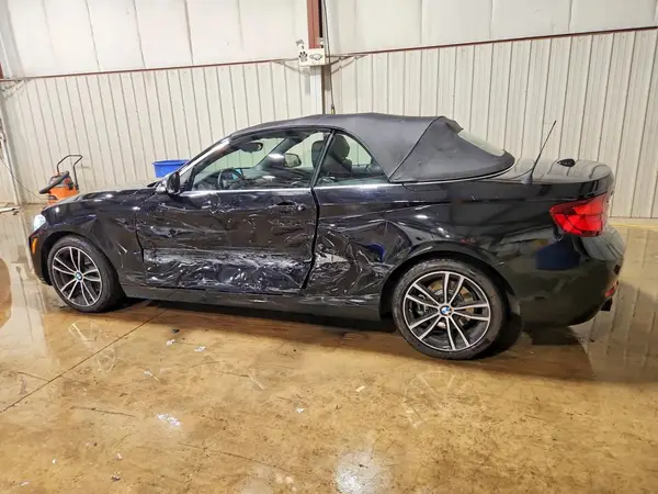 WBA2K1C00L7G21156 2020 BMW 2ER - Image 2