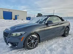 WBA2K1C01L7G10800 2020 BMW 2ER