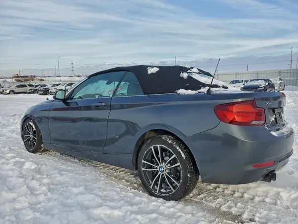 WBA2K1C01L7G10800 2020 BMW 2ER - Image 2