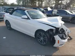 WBA2K1C02L7G10773 2020 BMW 2ER