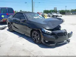 WBA2K1C04L7G06384 2020 BMW 2ER