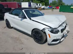 WBA2K1C05L7E13872 2020 BMW 2ER