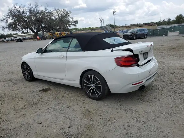 WBA2K1C06L7F99518 2020 BMW 2ER - Image 2