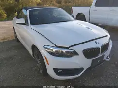 WBA2K1C07L7E59610 2020 BMW 2ER