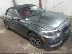 WBA2K1C0XL7E02012 2020 BMW 2ER