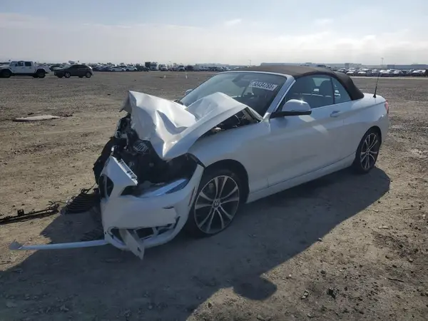 WBA2K1C50JVD41712 2018 BMW 2ER - Image 1