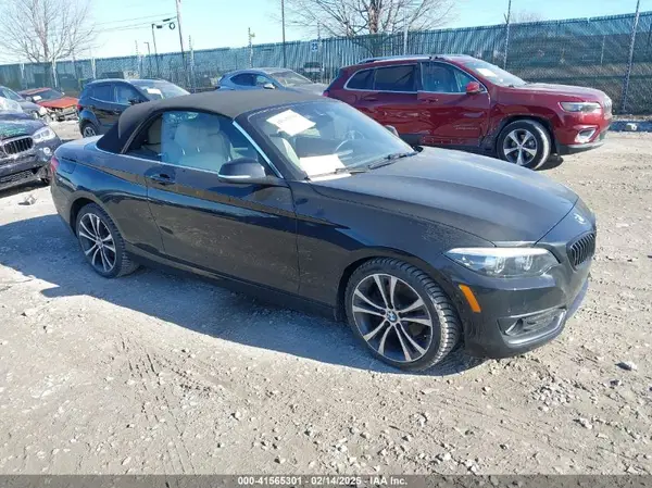 WBA2K1C50KVD42070 2019 BMW 2ER - Image 1