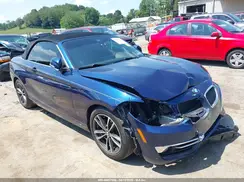 WBA2K1C51JVB28932 2018 BMW 2ER