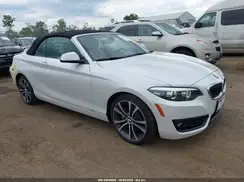WBA2K1C51JVB64541 2018 BMW 2ER