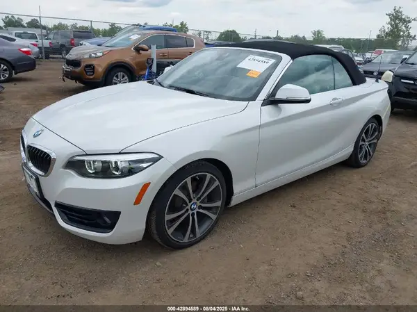 WBA2K1C51JVB64541 2018 BMW 2ER - Image 2