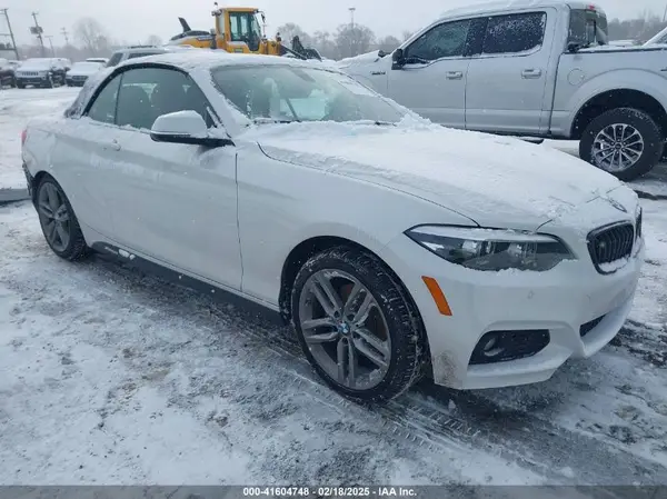 WBA2K1C52JVB64595 2018 BMW 2ER - Image 1