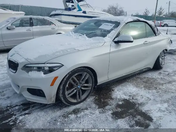 WBA2K1C52JVB64595 2018 BMW 2ER - Image 2