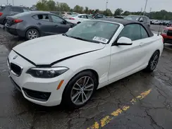 WBA2K1C52JVD41260 2018 BMW 2ER