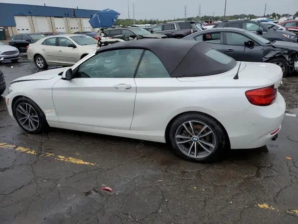WBA2K1C52JVD41260 2018 BMW 2ER - Image 2