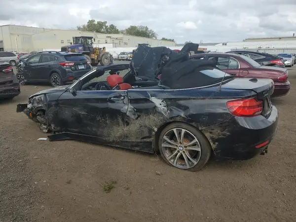 WBA2K1C53JVD40876 2018 BMW 2ER - Image 2
