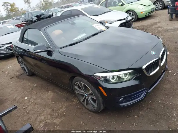 WBA2K1C53JVD40943 2018 BMW 2ER - Image 1