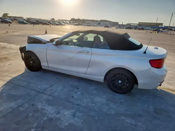WBA2K1C53JVD41056 2018 BMW 2ER - Image 2