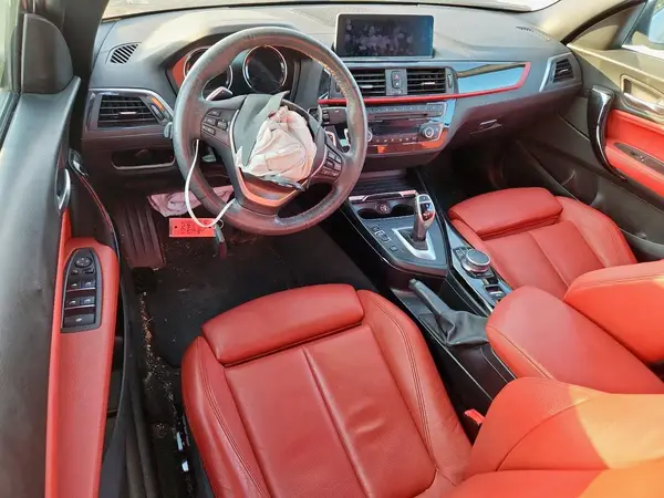 WBA2K1C53JVD41056 2018 BMW 2ER - Image 8