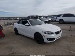 WBA2K1C54KVD41861 2019 BMW 2ER