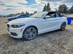 WBA2K1C58KVD41863 2019 BMW 2ER