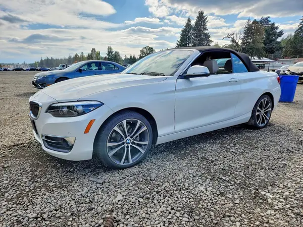 WBA2K1C58KVD41863 2019 BMW 2ER - Image 1