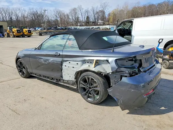 WBA2K1C59JVD41367 2018 BMW 2ER - Image 2