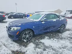 WBA2K1C59KVD42228 2019 BMW 2ER