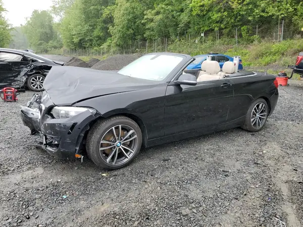 WBA2K1C5XJVD41748 2018 BMW 2ER - Image 1