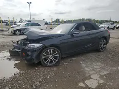 WBA2K1C5XKVD41847 2019 BMW 2ER