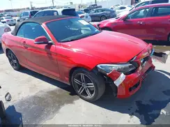 WBA2K9C31HV950389 2017 BMW 2ER