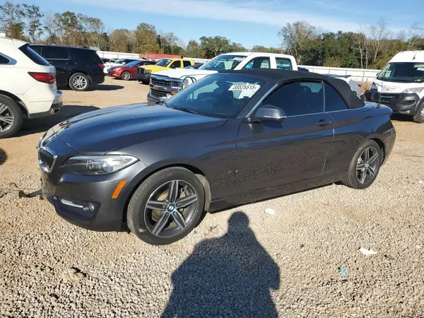 WBA2K9C31HV950585 2017 BMW 2ER - Image 1