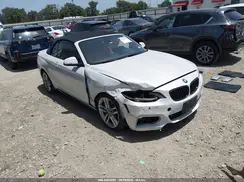 WBA2K9C33HV647355 2017 BMW 2ER