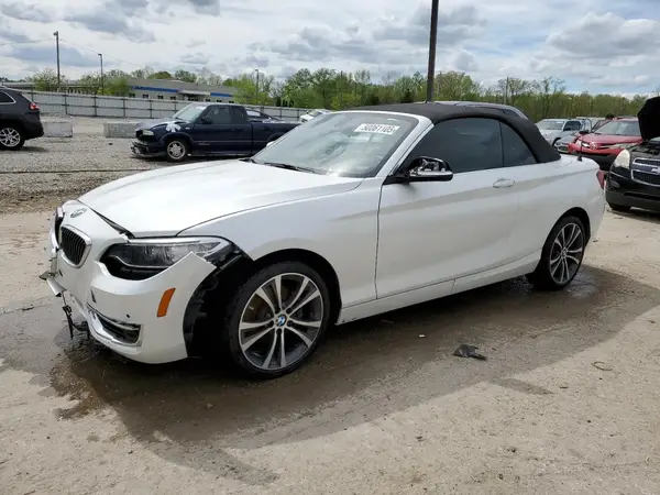 WBA2K9C35HV647678 2017 BMW 2ER - Image 1